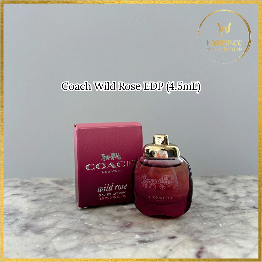 Mini Perfumes for Women