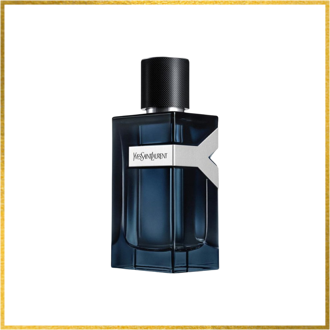 YSL Y EDP Intense